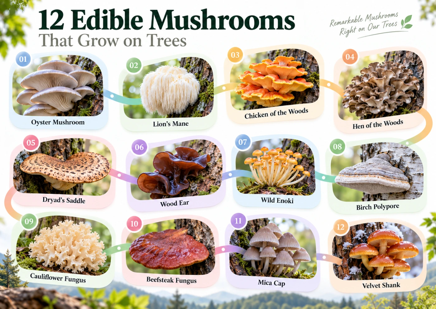 Edible Mushrooms That Grow on Trees: 12 Common Species to Know